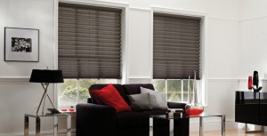pleated-blinds-apex-blind3
